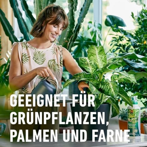 COMPO Grünpflanzen und Palmendünger
